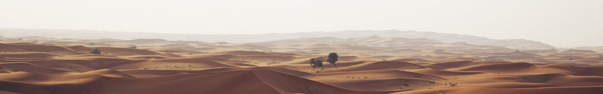 µԶൺ޹˾